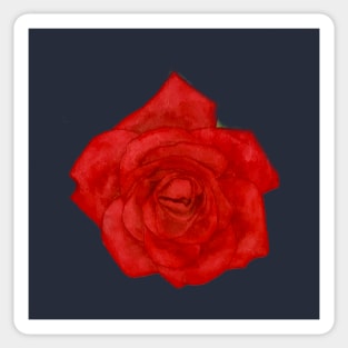 Red Red Rose Sticker